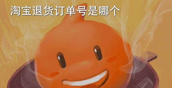 淘宝退货订单号是哪个