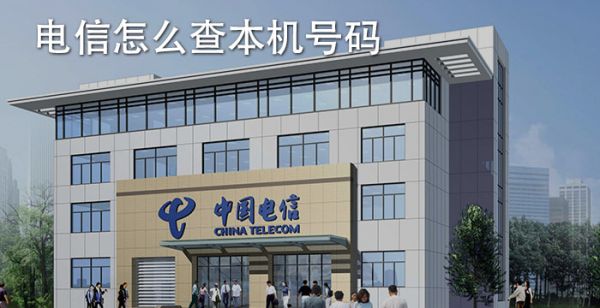 电信怎么查本机号码