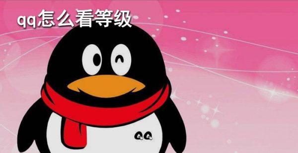 qq怎么看等级