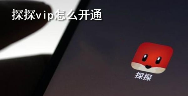 探探vip怎么开通
