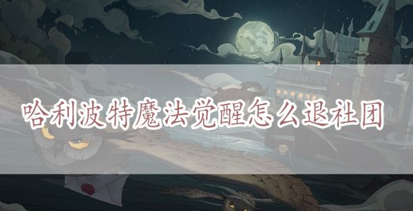 哈利波特魔法觉醒怎么退社团