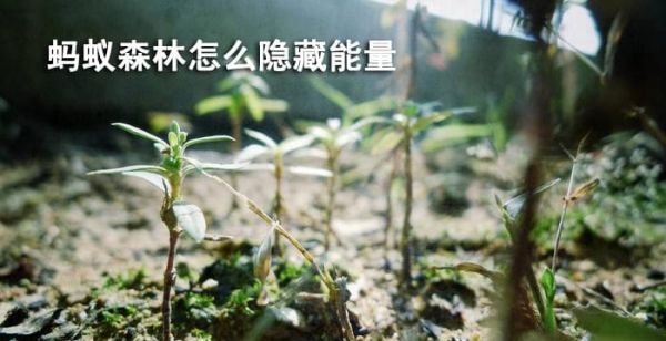 蚂蚁森林隐藏能量球