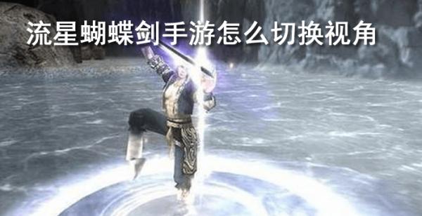 流星蝴蝶剑手游怎么切换视角