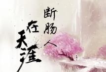 抖音枉我年少轻狂只道寻常是什么歌