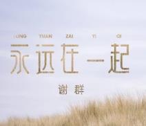 女人的心你伤啊伤不起是什么歌
