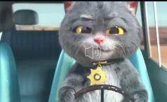 抖音斑布猫视频怎么弄