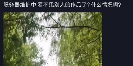 抖音服务器维护中什么意思