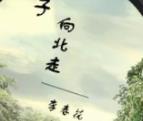 抖音小女子不才未得公子青睐是什么歌