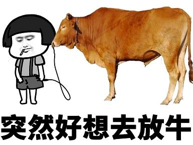 突然好想去放牛表情包
