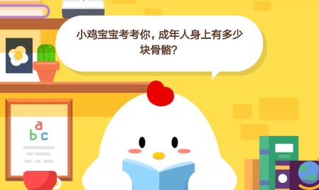 小鸡宝宝考考你，成年人身上有多少块骨骼？
