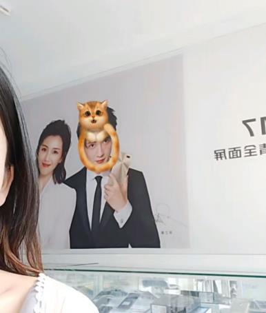 抖音头上有只猫怎么拍