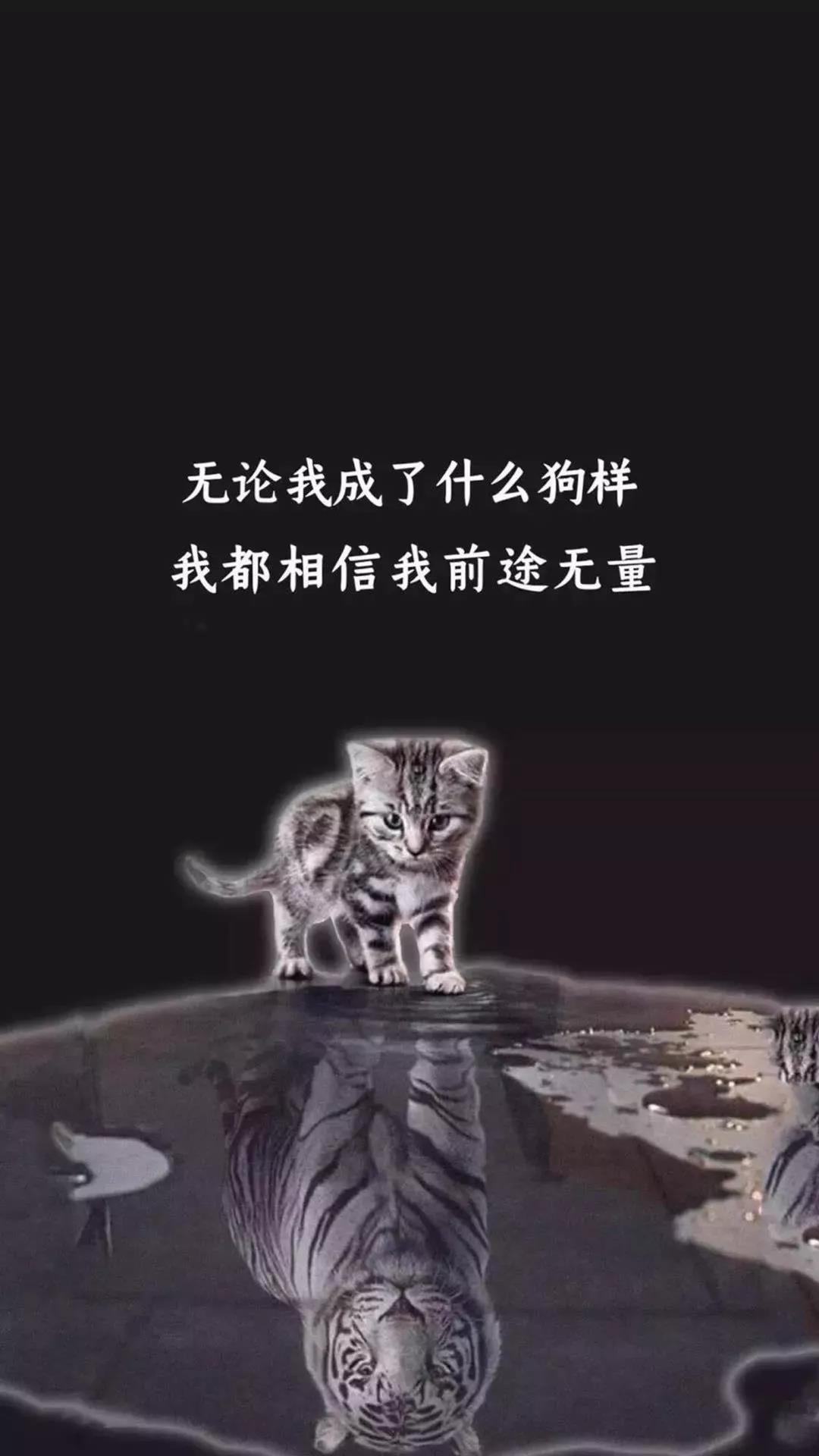 无论我成了什么狗样壁纸