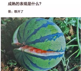 成熟的表现是什么壁纸