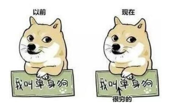 算命型单身是什么意思