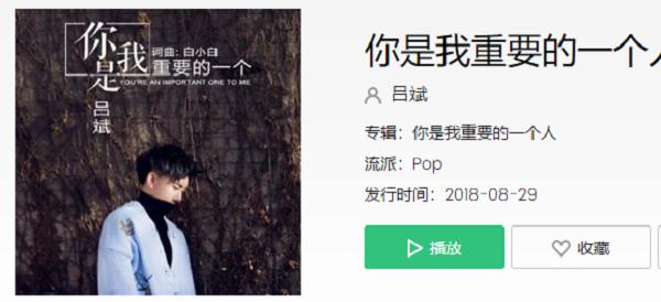 你是我最重要的人是什么歌