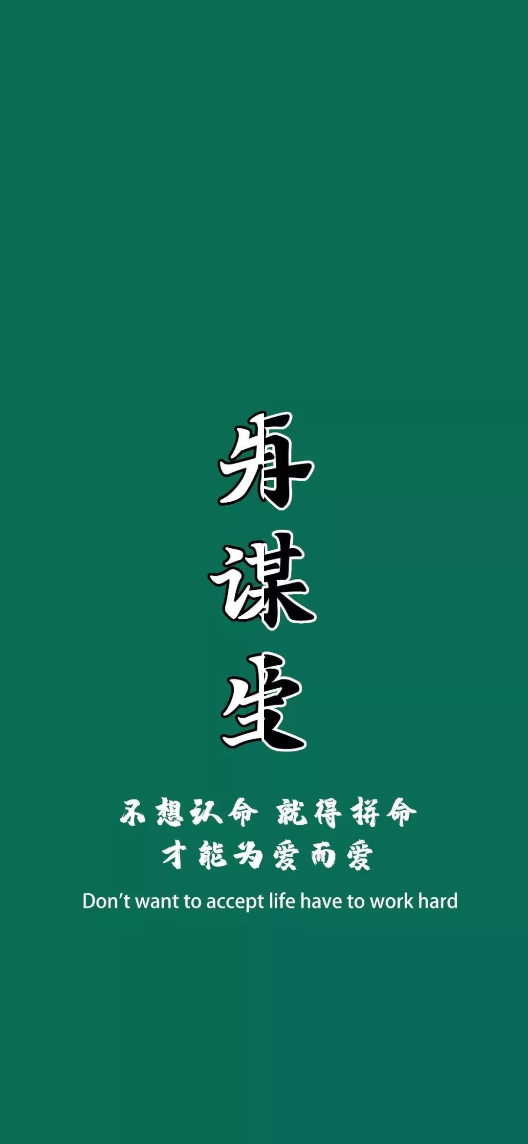 先谋生再谋爱壁纸