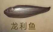 明日之后龙利鱼怎么获得