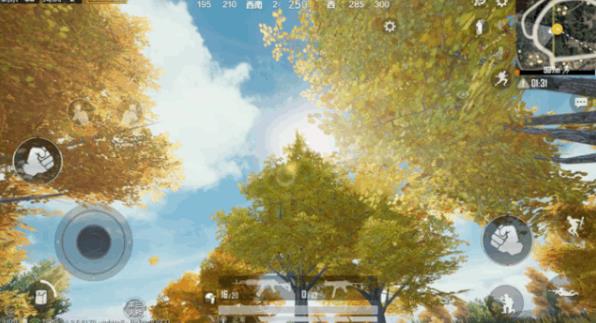 和平精英枫叶林在哪里