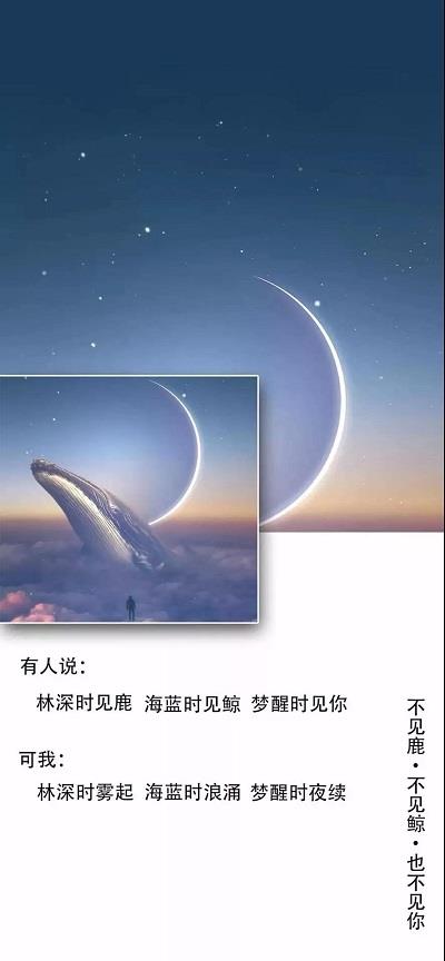 林深时见鹿海蓝时见鲸梦醒时见你图片