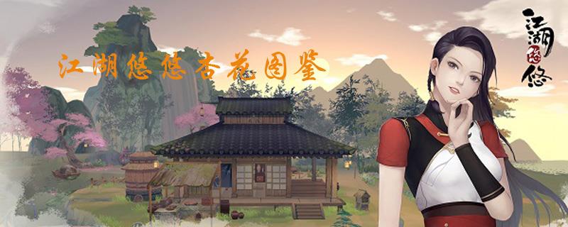 江湖悠悠杏花图鉴