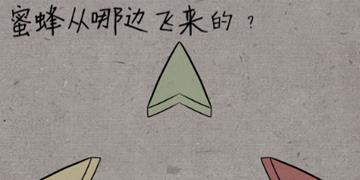 中国式脑洞第16关蜜蜂从哪边飞来的