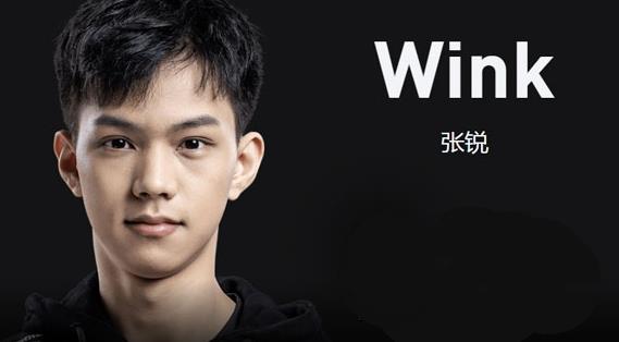 wink是谁