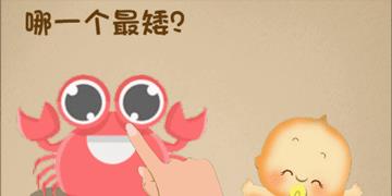 最强的大脑第2关哪一个最矮