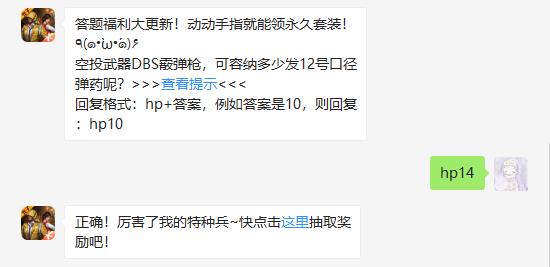 空投武器DBS霰弹枪，可容纳多少发12号口径弹药呢