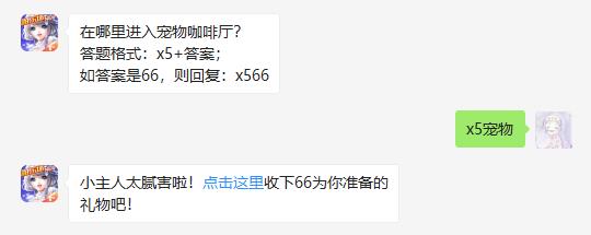 在哪里进入宠物咖啡厅